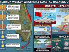 South Florida Forecast: Coastal Flooding Hazards, Daily Storm Chances, and Atlantic Tropical Updates