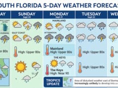South Florida Faces Daily Storms and Sticky Heat as Forecasters Monitor Distant Atlantic Low