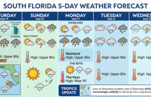 South Florida Faces Daily Storms and Sticky Heat as Forecasters Monitor Distant Atlantic Low