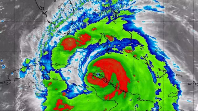 Irma