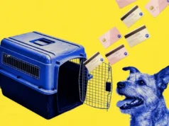 Credit Card Issuers Are Courting Pet Owners With Special Perks