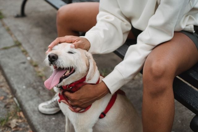 https://www.pexels.com/@samson-katt/