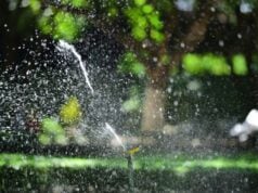 Water Where It Matters: Keeping Your Sprinkler System Working Smarter https://www.pexels.com/photo/garden-sprinkler-watering-lush-green-lawn-37720375/