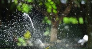 https://www.pexels.com/photo/garden-sprinkler-watering-lush-green-lawn-37720375/