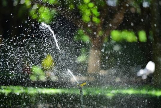 https://www.pexels.com/photo/garden-sprinkler-watering-lush-green-lawn-37720375/