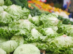 Surviving the Summer of Cyclospora: What Happens Next for Our Food Safety? https://www.vecteezy.com/photo/34869122-stack-of-lettuce-leaf-selling-local-shop