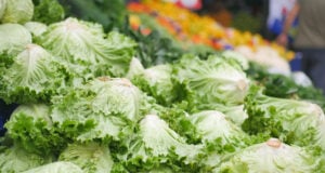 https://www.vecteezy.com/photo/34869122-stack-of-lettuce-leaf-selling-local-shop