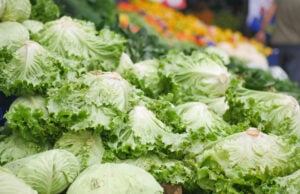 Surviving the Summer of Cyclospora: What Happens Next for Our Food Safety? https://www.vecteezy.com/photo/34869122-stack-of-lettuce-leaf-selling-local-shop