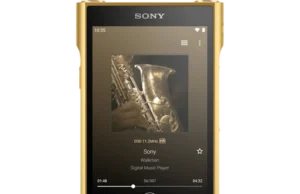 Sony Just Brought Back the Walkman in Pure Gold, but Would You Pay $6,000? https://electronics.sony.com/audio/walkman-digital-recorders/walkman-mp3-players/p/nwwm1zm2