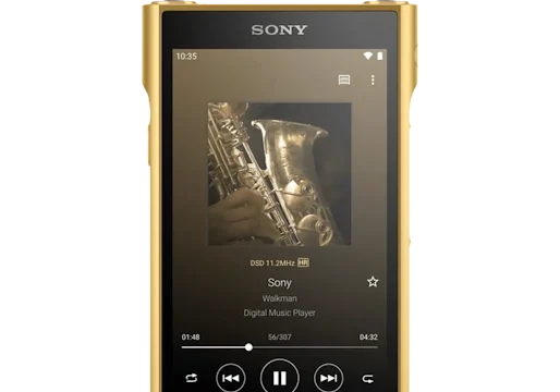 https://electronics.sony.com/audio/walkman-digital-recorders/walkman-mp3-players/p/nwwm1zm2