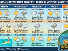 South Florida Faces Daily Storm Chances as Forecasters Monitor Developing Gulf Disturbance