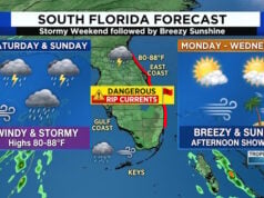South Florida Weather: Weekend Storms and Gusty Winds Give Way to Brisk, Sunny Days