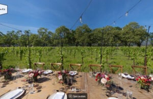 Winemaker Dave Phinney Continues to Reshape the Industry With New Ventures https://tours.vntpoint.com/prisoner-wine-company/#/stop/4
