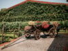 Vintage Under Fire: Inside the Ukrainian Winery Defying Russian Missiles to Harvest Hope