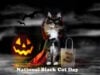 There Are 22 Breeds Of Black Cat – More Than Any Other Color.
