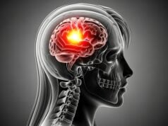 https://www.vecteezy.com/photo/71455469-brain-inflammation-anatomy-scan-x-ray-headache-migraine-brain-tumor-or-neurological-disorder-concept