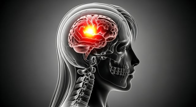 small-vecteezy_brain-inflammation-anatomy-scan-x-ray-headache-migraine_71455469_small https://www.vecteezy.com/photo/71455469-brain-inflammation-anatomy-scan-x-ray-headache-migraine-brain-tumor-or-neurological-disorder-concept