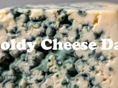 Vieux Boulogne Is Considered To Be The Smelliest Cheese In The World https://www.vecteezy.com/photo/72709414-close-up-of-delicious-blue-cheese-with-mold-a-gourmet-food