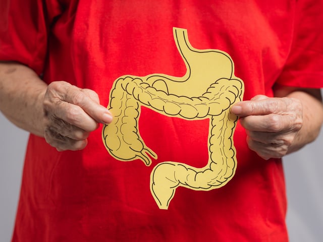https://www.vecteezy.com/photo/53608625-close-up-of-hands-old-woman-holding-a-large-intestine-shape-made-from-yellow-paper