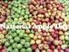 Two Pounds Of Apples Makes One 9-Inch Pie