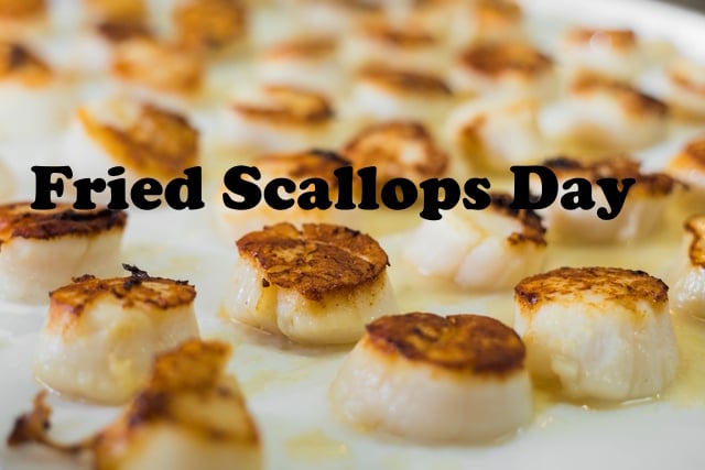 Lots of fresh tasty cooked scallops on pan in restaurant, https://www.vecteezy.com/photo/4294575-tasty-cooked-scallops-on-pan